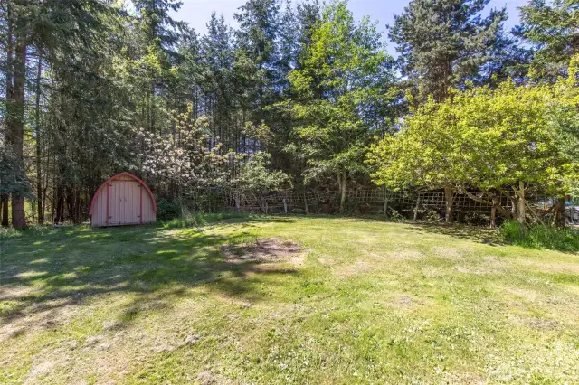 Backyard Area