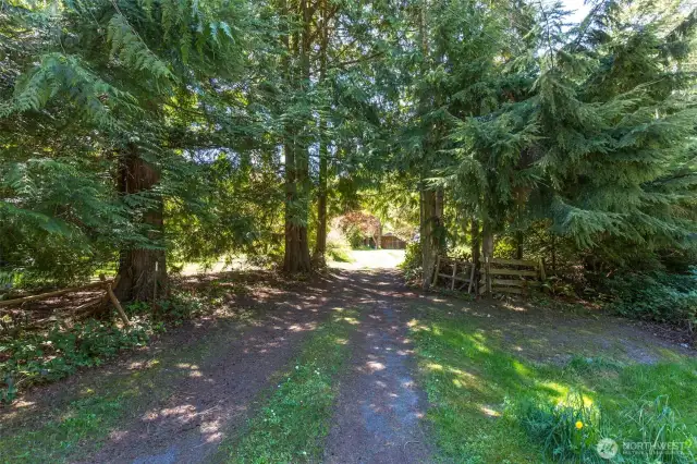 Driveway to street.