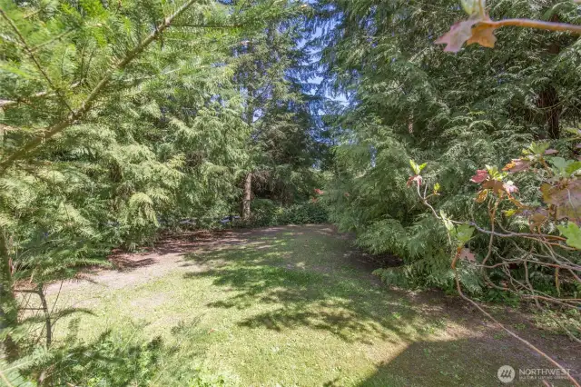 Side Yard Area