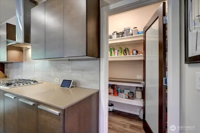 Walk-in pantry - more storage!