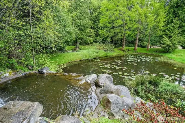 Community Park