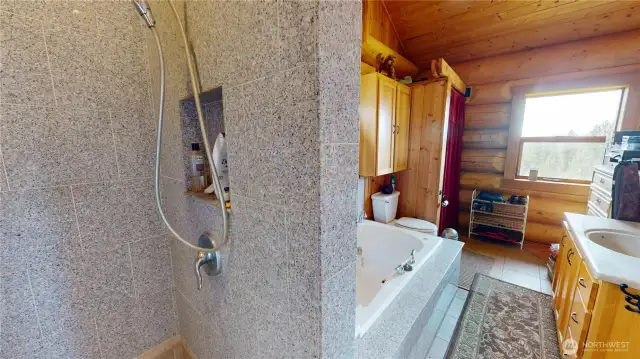 Shower in Primary bath