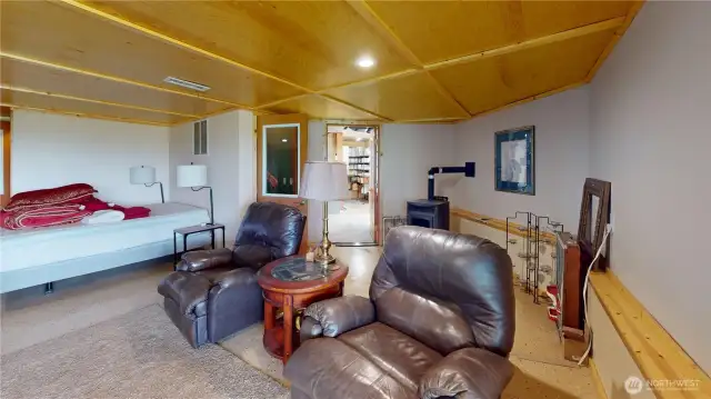 Basement livingroom