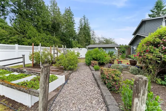 The gardens feature raised bed boxes