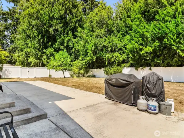 Property line extends a little past the vinyl fence (back of the house)