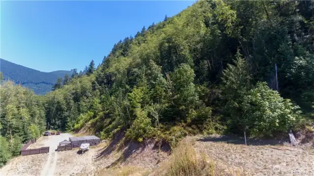 wider view of lot showing hillside and trees. Lot line is fence line and beyond.