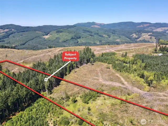 Overhead view with approximate boundaries in red.