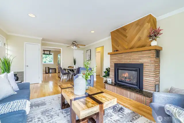 Gas fireplace insert