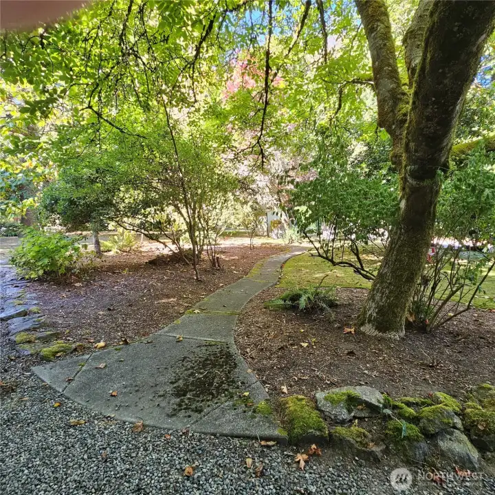 Park like setting with Heritage trees