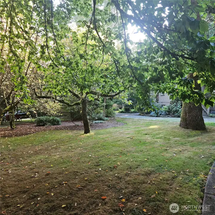 Park like setting with Heritage trees