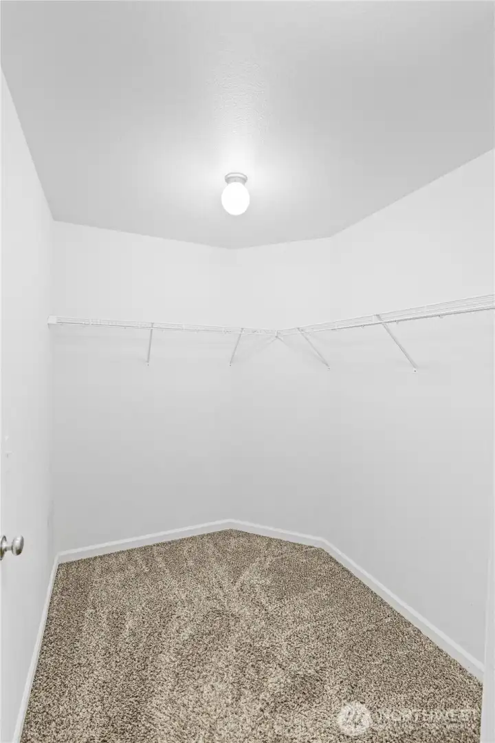 Walk-in Close in Master