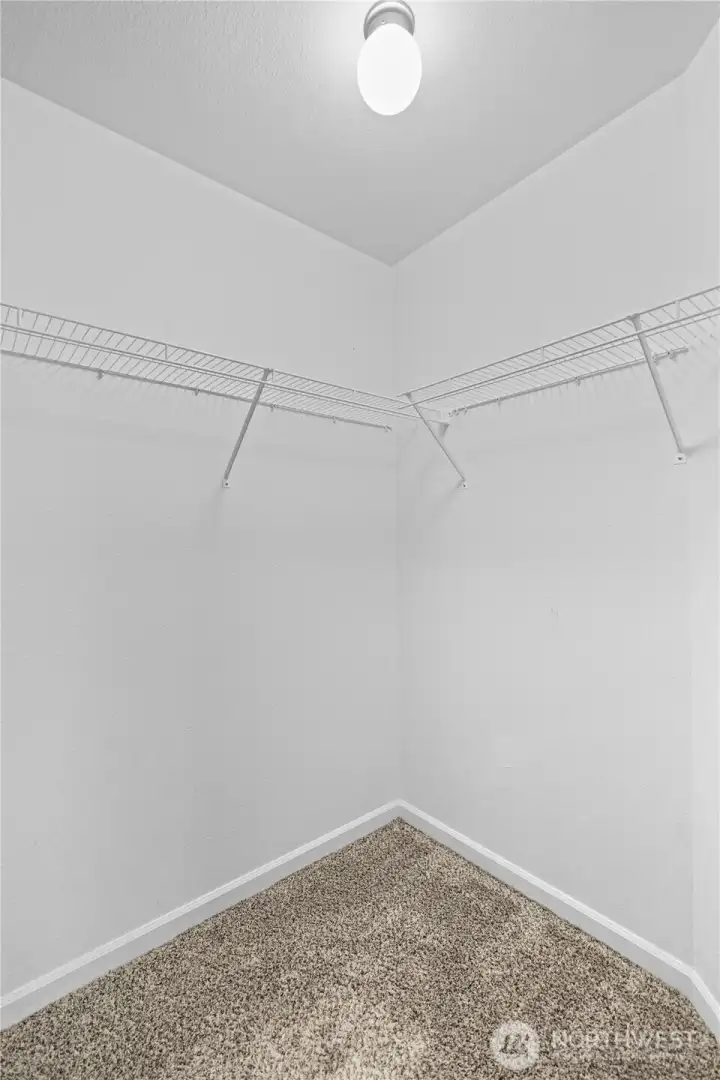 Walk-in Close in Master