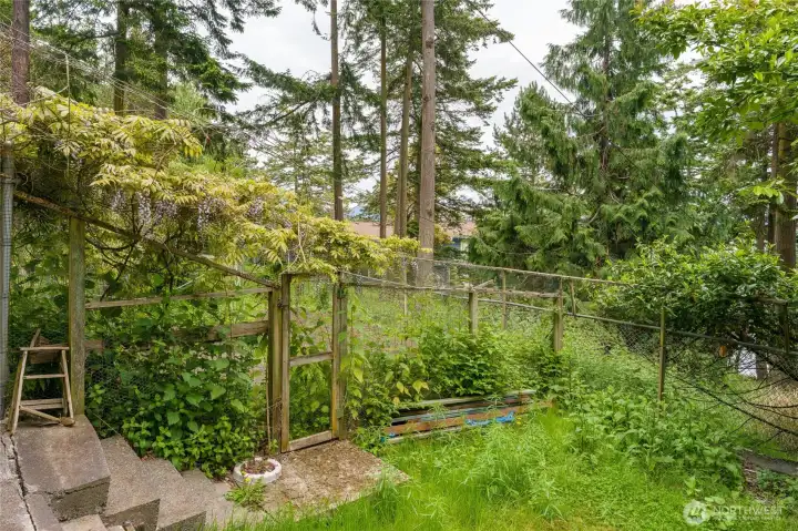 Fenced garden