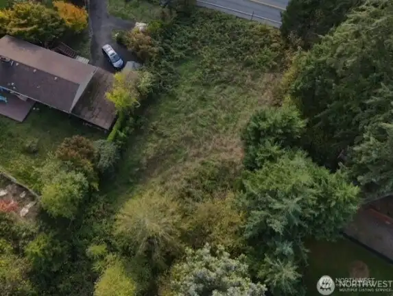 Lot hosts blackberries in front of lot, but somewhat cleared in middle.