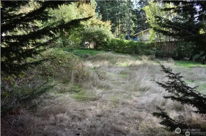 View of center of lot