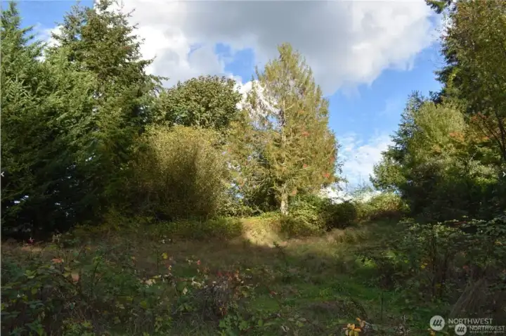 View on lot facing Lake Tapps