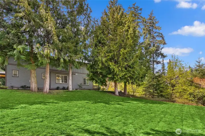 Nice grassy area surrounds the home.
