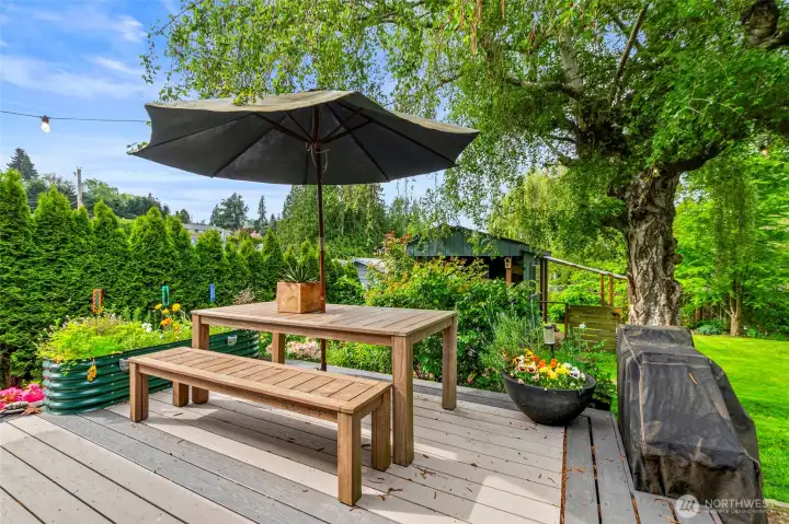Exit French doors, to Trex Deck overlooking beautiful yard, patio and gardens.