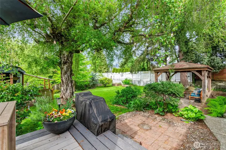 Easy access from kitchen for BBQ's and entertaining guests. Cute gazebo stays. Enjoy grafted cherry tree and Asian Pear tree w/multiple varieties on one tree! Plus established blueberry bush, raspberries, black currents & Fig tree.