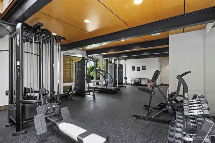 Lower level ultimate gym Lower level ultimate gym