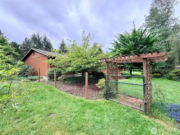 From inside the garden area, looking back towards the house.