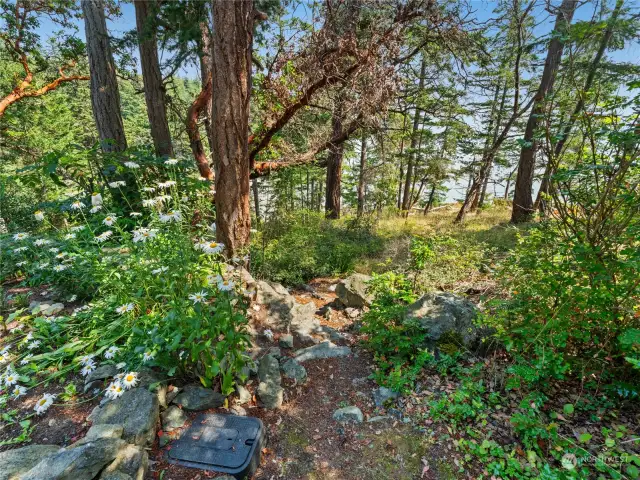 Next to driveway, here's the entrance to trail to Eagle Point via a trail going to the beach at Cook's Cove.