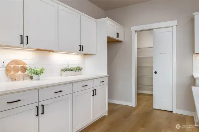 This is a large serving counter next to the walk-in pantry.