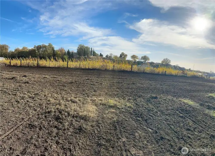 Back half of the lot.