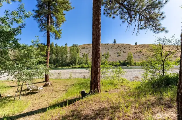 Sunlit meadow & pine trees along the Methow River.