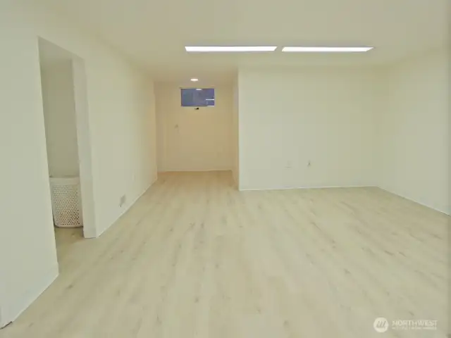 Lower rec-room area with 2 closet spaces