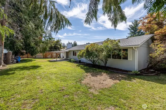 large backyard