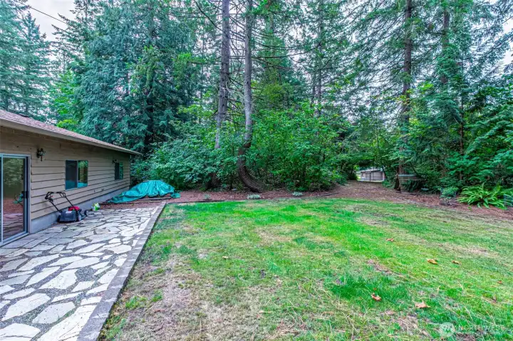Fenced back yard
