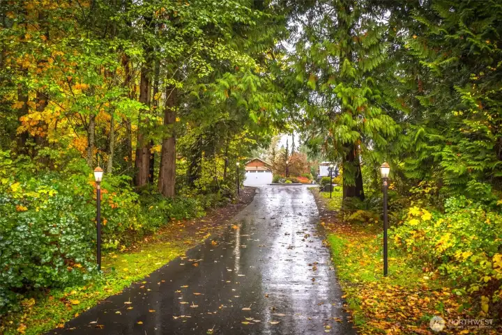Home down a private drive surrounded by beautiful trees.