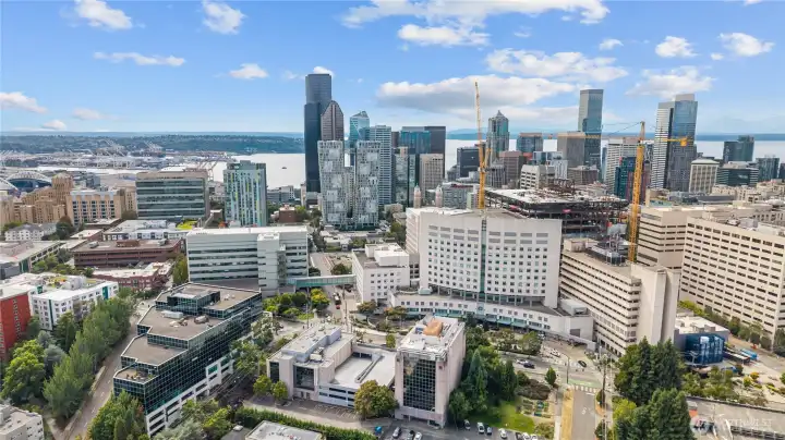 The Sunning Seattle Skyline and Puget Sound.