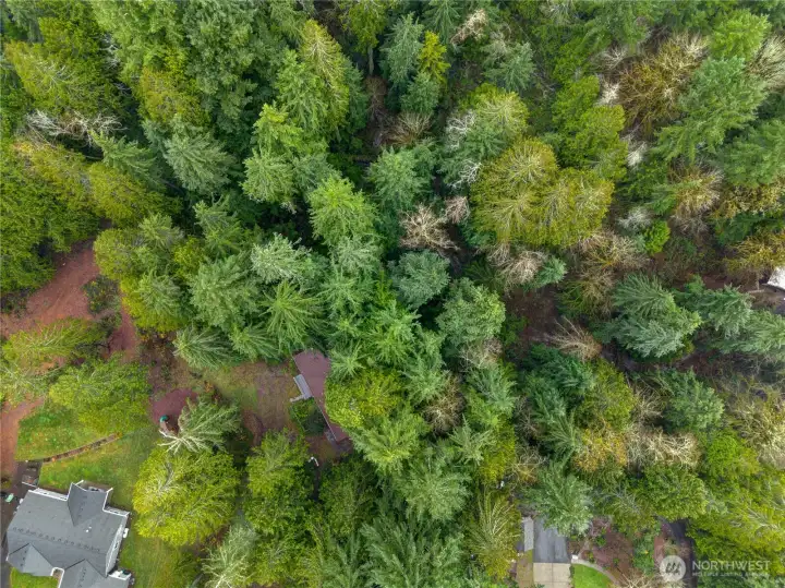 Hidden by the trees and surrounded by them, this home is ready for your dreams to come true.