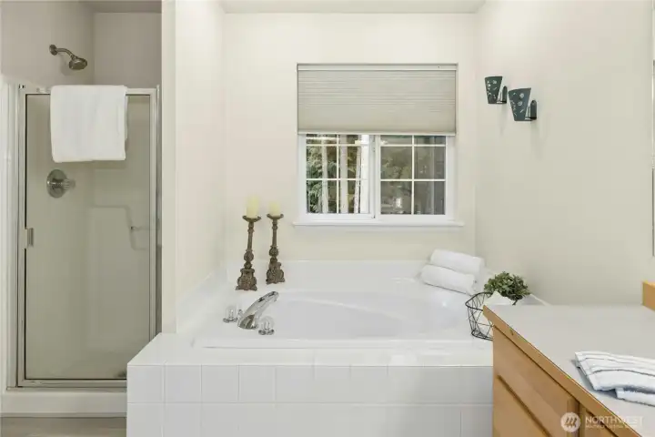 walk in shower and deep soaking tub, with views to the wooded back yard walk in shower and deep soaking tub, with views to the wooded back yard