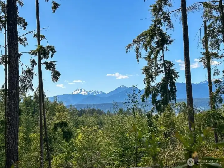 Olympic Mountain and Hood Canal Peek-a-boo view from nature trails