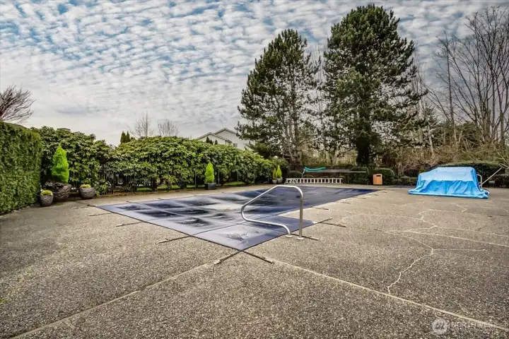 Outdoor pool and sauna