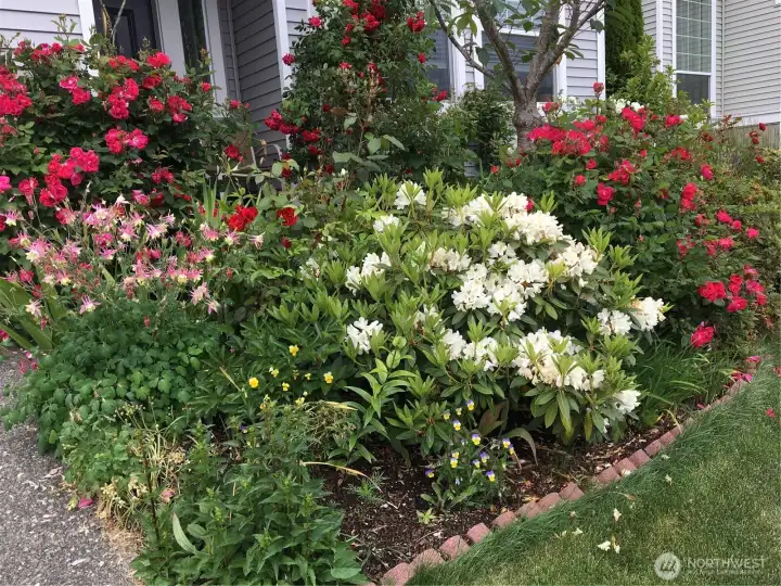 Enjoy beautifully landscaped grounds that will soon be bursting with color including a cherry tree and two prune trees