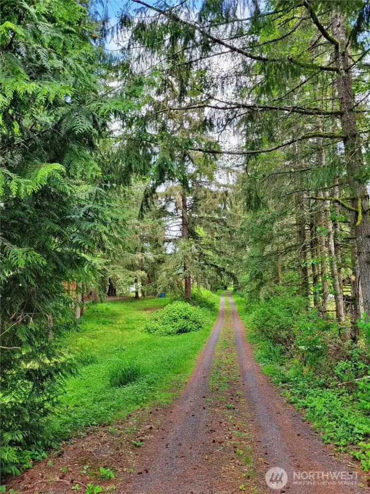 Driveway