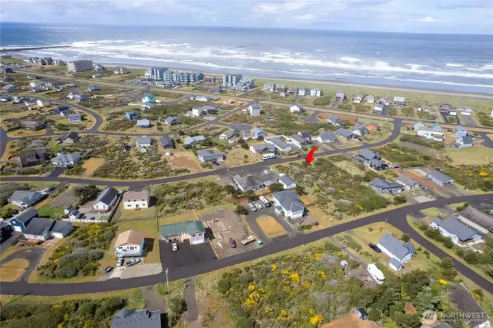Ocean Shores' festival calendar keeps the community active throughout the year with seafood celebrations, holiday bazaars, live entertainment, and family-friendly events.