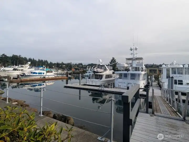 The boat ramp and access to the dock is just off the patio! The boat ramp and access to the dock is just off the patio!