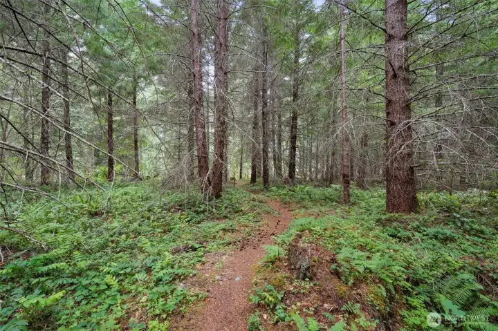 Trail to HOA Community Riverfront island - 21.88 acres Trail to HOA Community Riverfront island - 21.88 acres