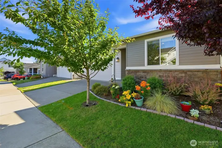 Clean lines and effortless beauty. This manicured front yard makes a fantastic first impression!
