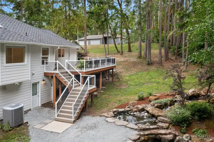 Back yard
