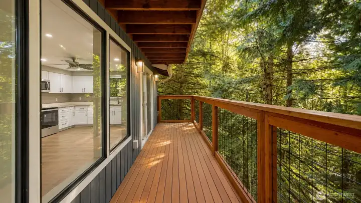 Main Floor Deck Main Floor Deck