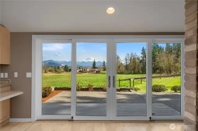 Patio Access of Kitchen and Family Room