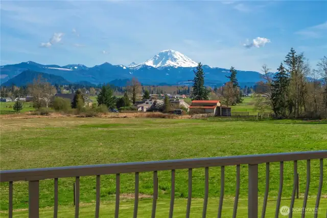 Primary Deck View