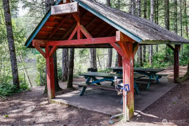 Community area