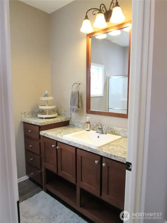 BATHROOM NEXT TO MASTER HAS GOOD STORAGE.